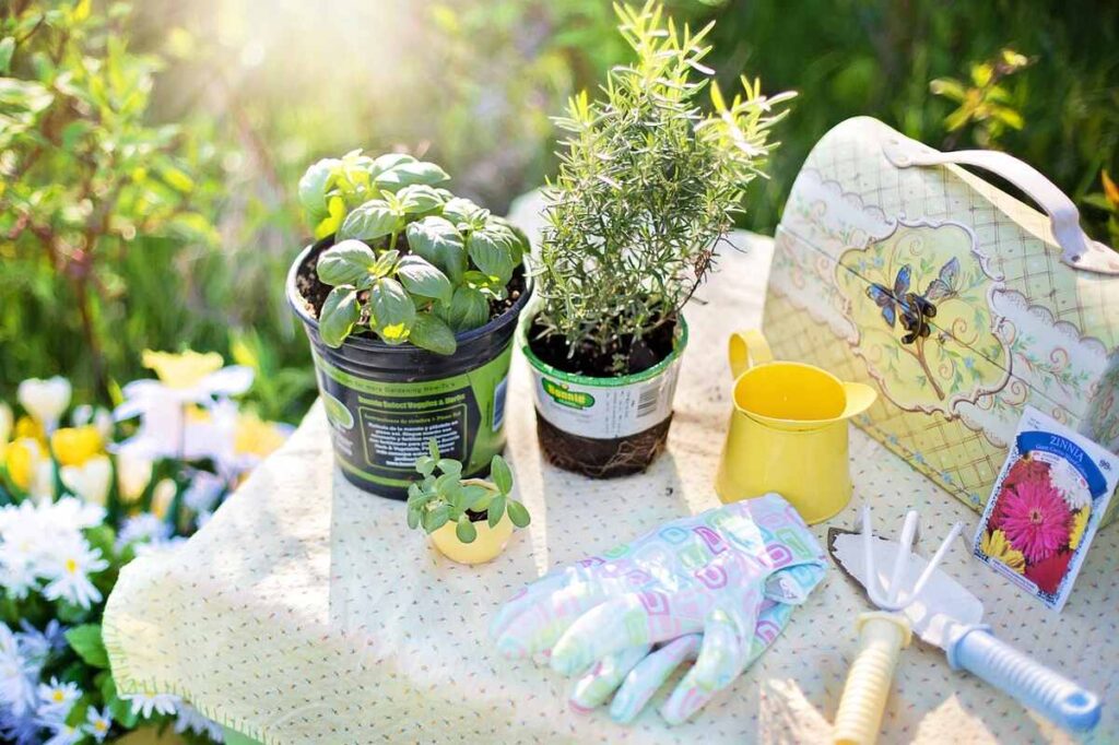 Container Gardening