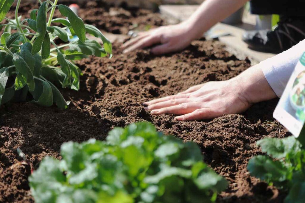 Healthy Soil All Garden Tips