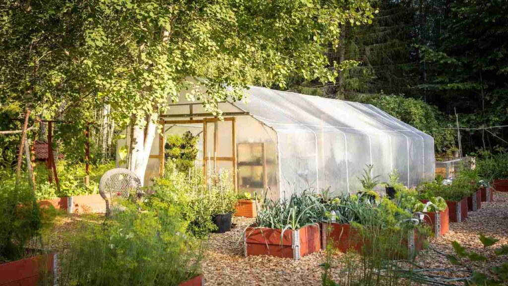 Hydroponics and Greenhouse Gardening