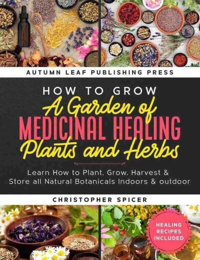 Medicinal Healing Plants and Herbs