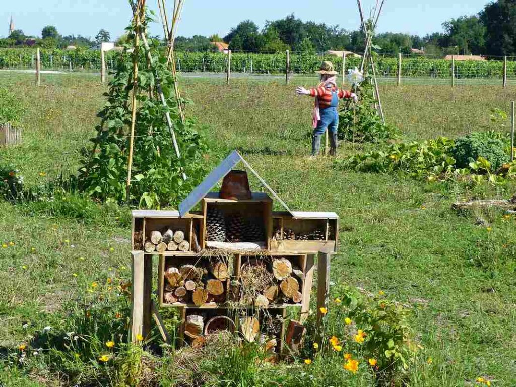 Permaculture