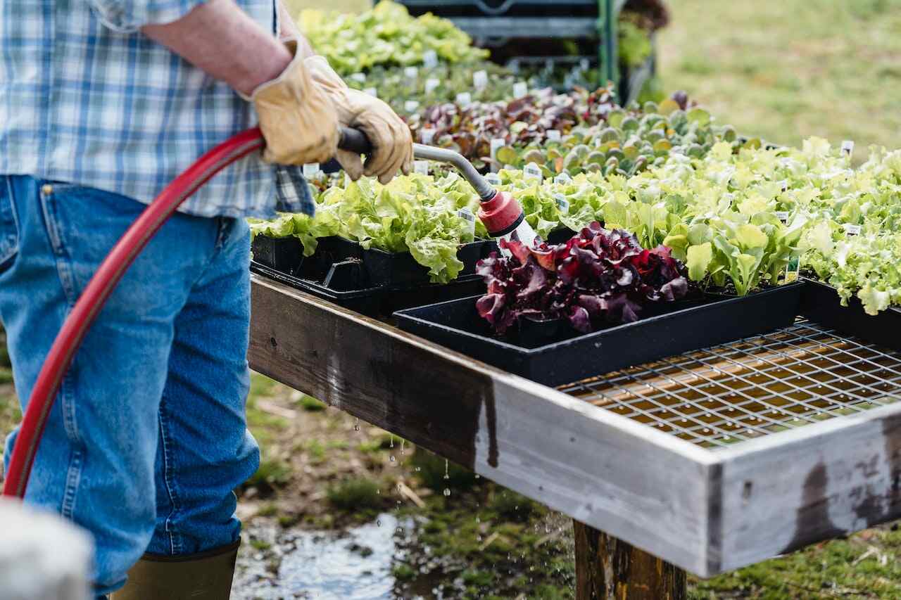 Container Gardening