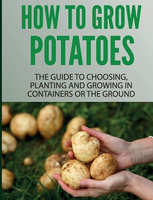 How to grow potatoes