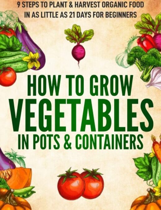 How to Grow-Vegetables in Pots and Containers