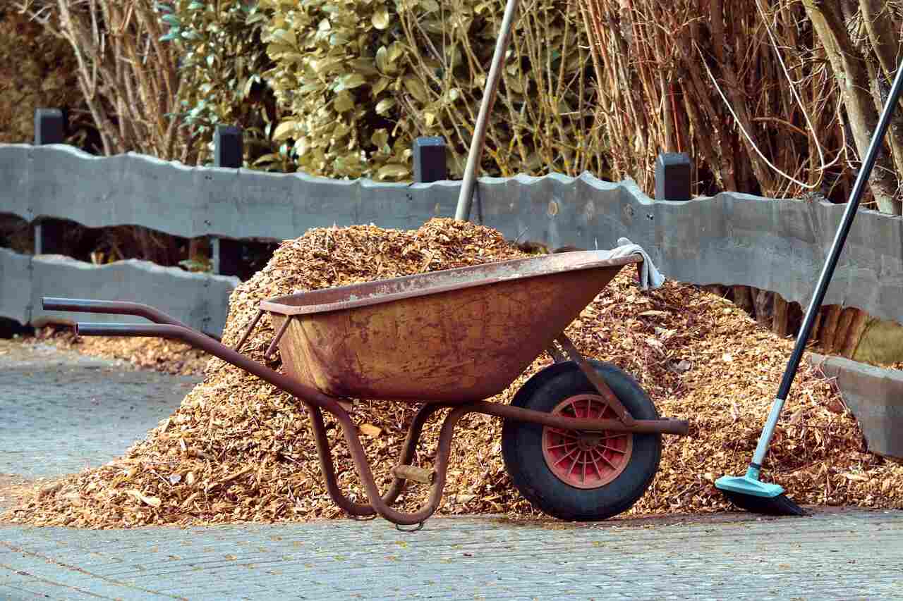 Mulching All Garden Tips