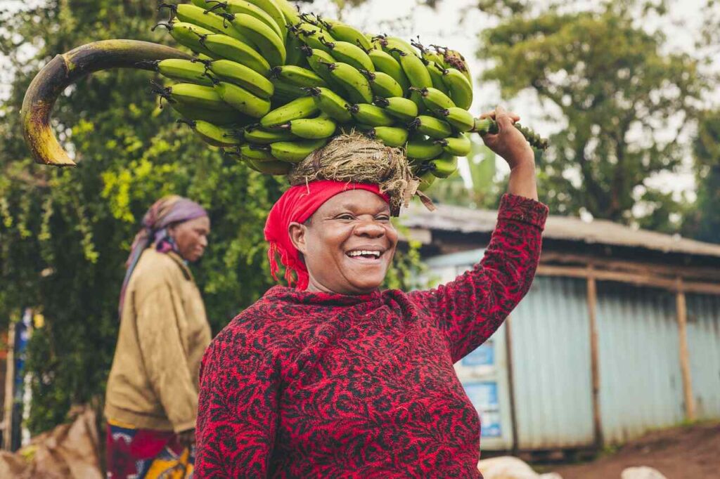 banana seeds_bananas