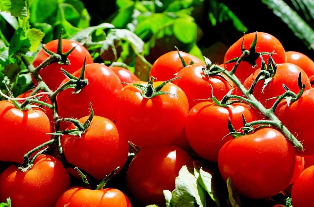 Companion Planting_Tomatoes