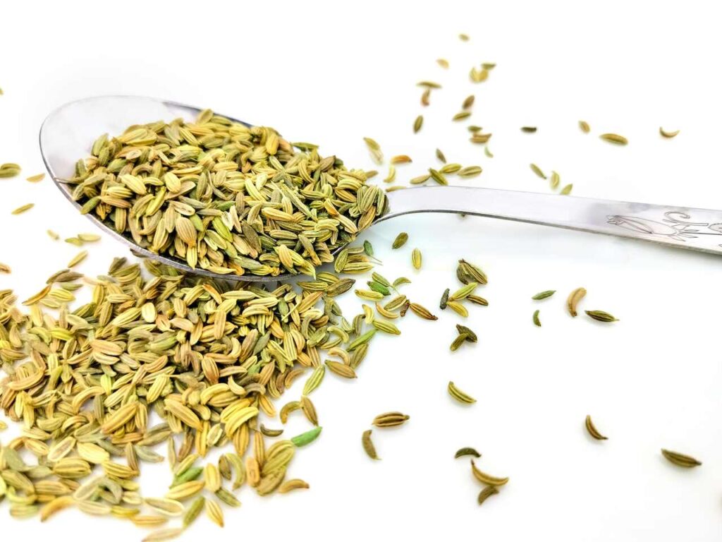 Fennel Seed Recipes_All Garden Tips