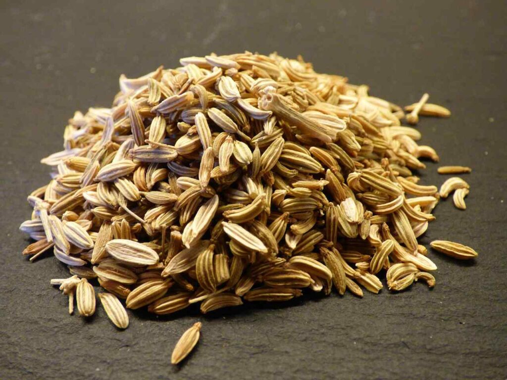 Fennel Seeds-All Garden Tips